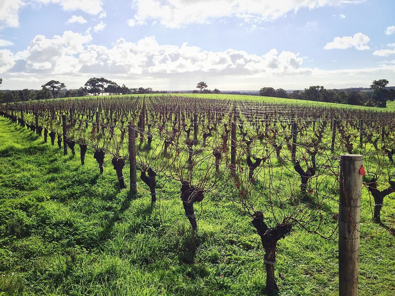 Australian-made gifts from Margaret River: wine, chocolate, cheese, olive oil