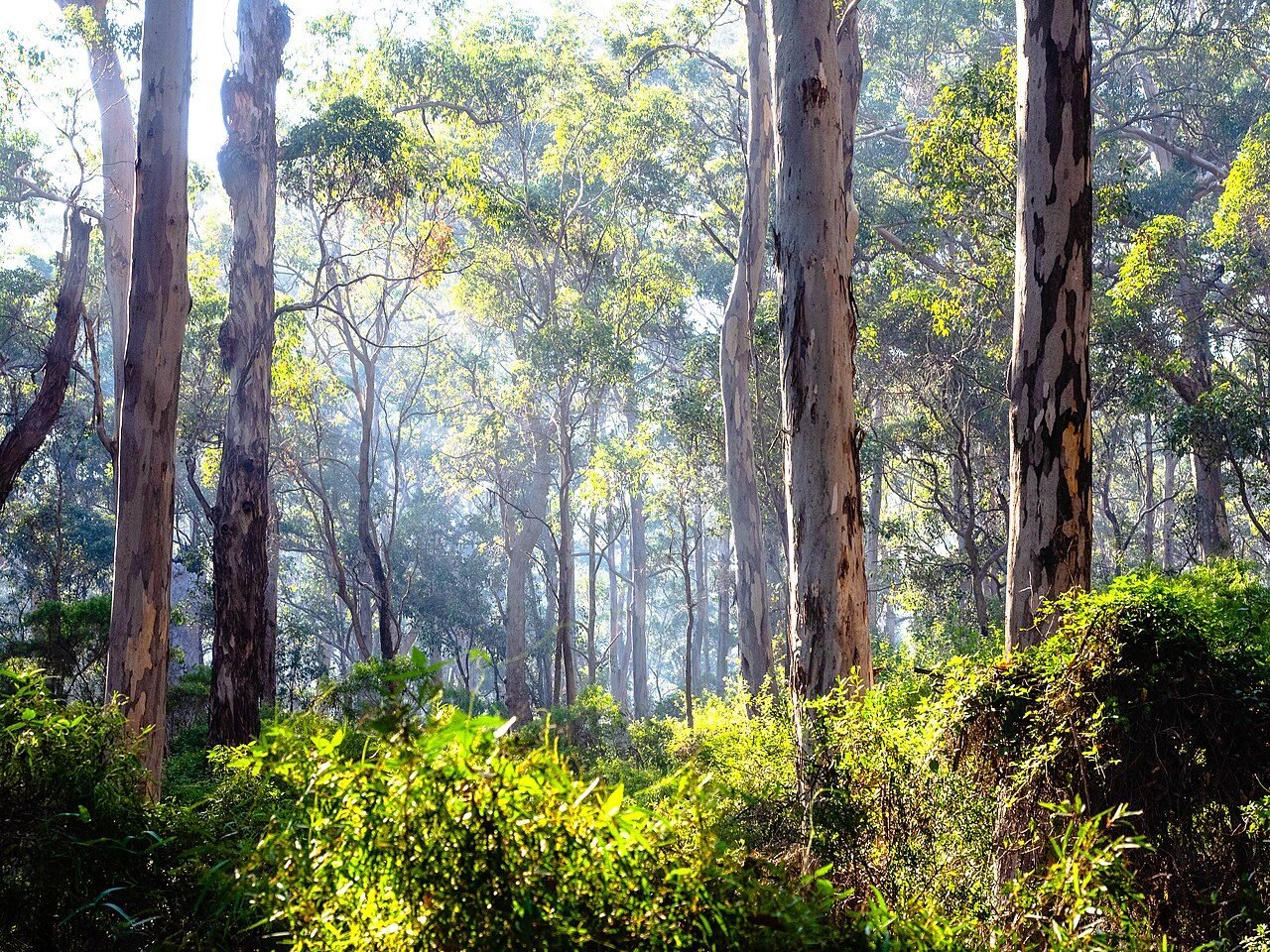 Where to stay in Margaret River: town, bush or coast